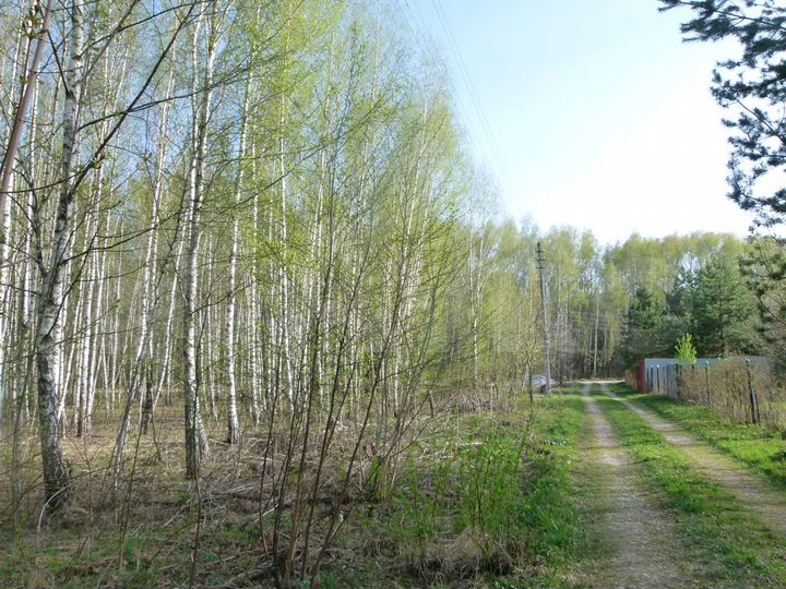 Участок 12,8 сот. (СНТ, ДНП)