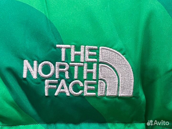 Пуховик The North Face 1996 kaws Green Print