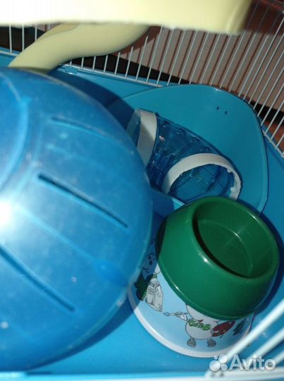 Клетка для джунгарского хомяка