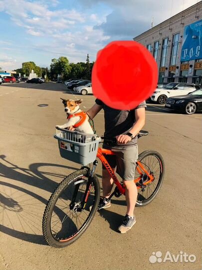 Велокресло