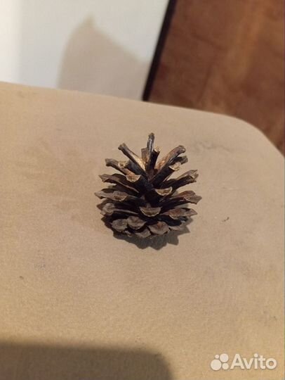 Шишки сосновые. Раскрытые. Для поделок, декора
