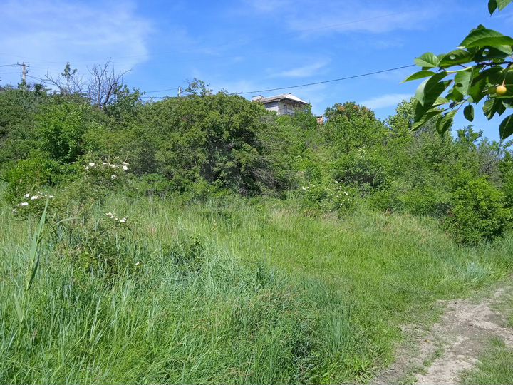 Участок 10 сот. (СНТ, ДНП)