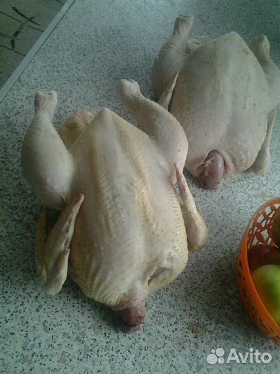 Мясо птицы