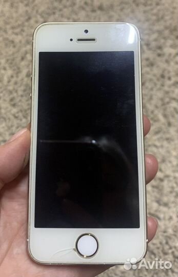 iPhone 5 и iPhone 5s