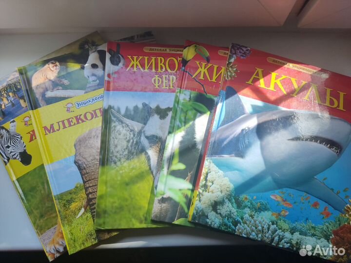 Детская энциклопедия