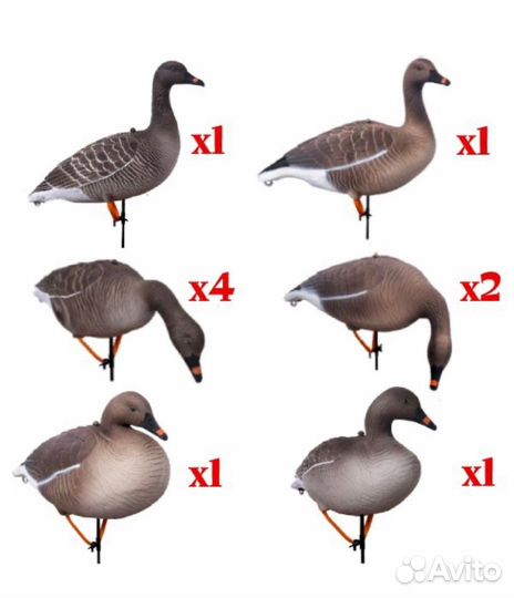 Чучела гуся гуменника комплект GS-3D 10шт