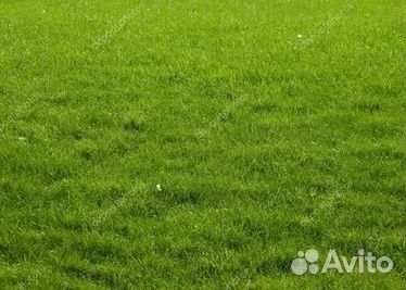 Гидропосев