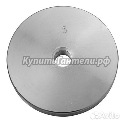 Диск оцинкованный 5 кг