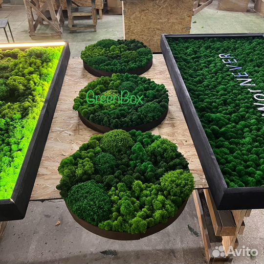 Панно круглое из мха