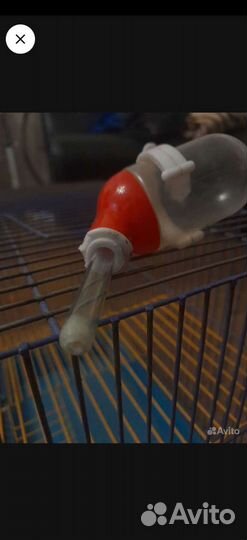 Клетка для грызунов