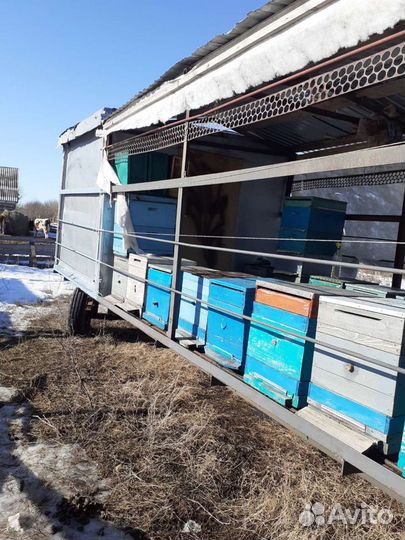 Пчеловодческий павильон