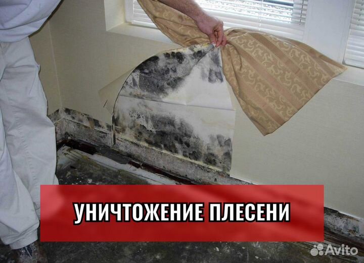 Уничтожение клопов, Травля тараканов, Дезинфекция