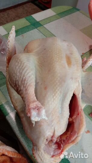 Продам мясо птицы(индейки)