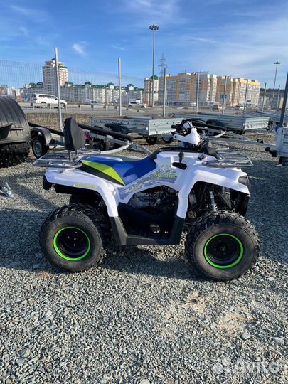 Квадроцикл MotoLand 200 Shark