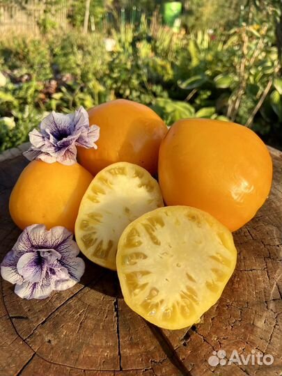 Семена желтого томата Сердце Ашхабада