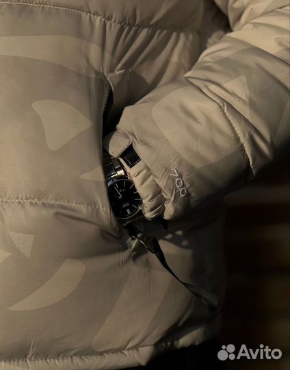 Куртка the north face 700 kaws