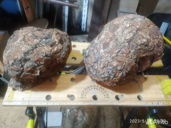 Сувель березовый(кап) для поделок и творчества