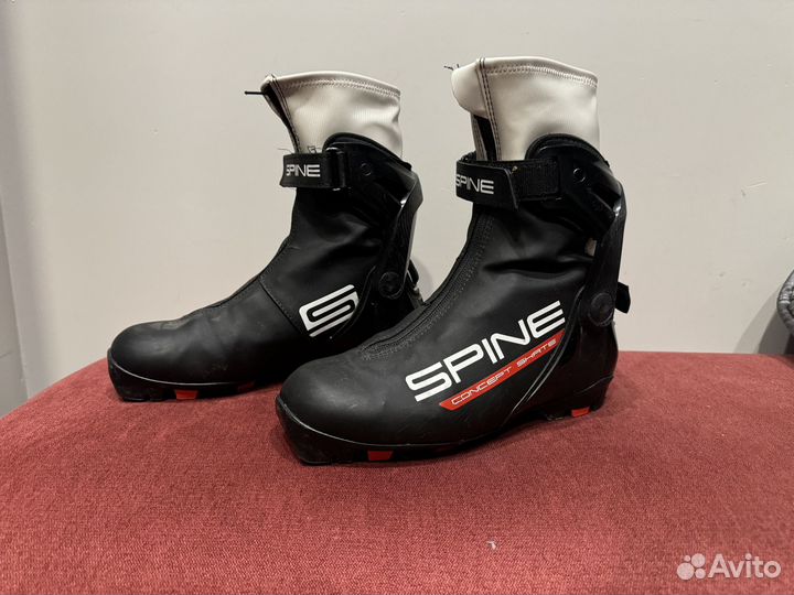 Лыжные ботинки Spine Concept Skate (38 р)