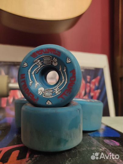 Колеса для скейта Powell Peralta G-bone 97a 64mm
