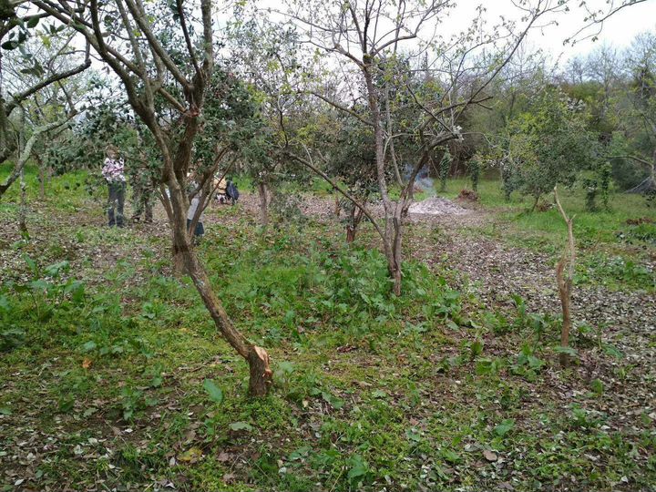 Участок 11,2 сот. (ИЖС)