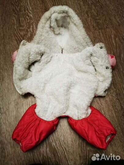 Одежда для собак