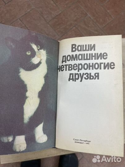 Книга Ваши домашние четвероногие друзья