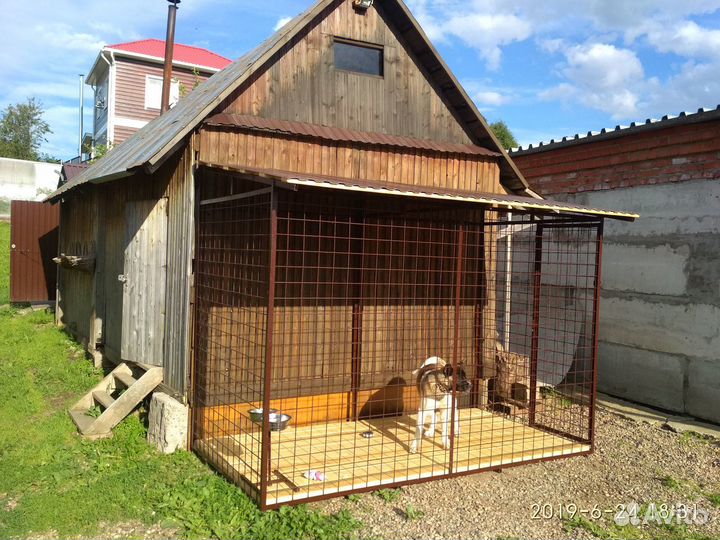 Вольер для собаки