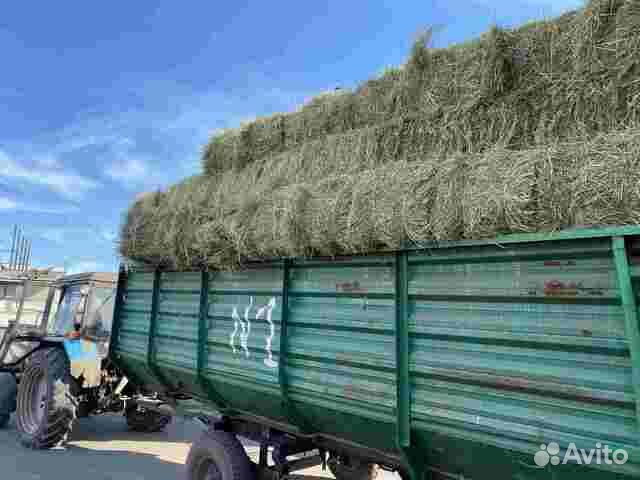Сено луговое в тюках бесплатная доставка