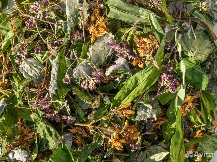 Травяной сбор 