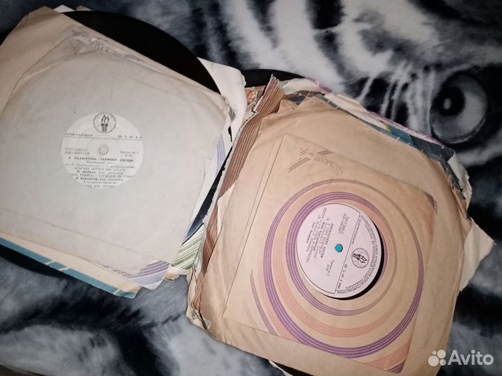 Виниловые пластинки