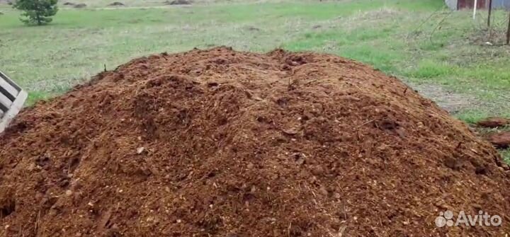 Конский навоз