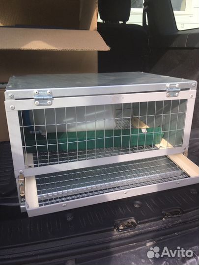 Перепёлки со своим домом