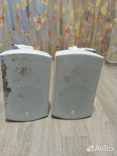 Акустические колонки CVG RF508TW