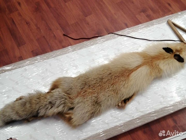 Шкурка рыжей лисы