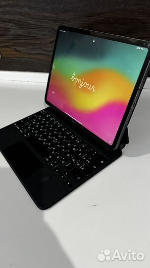 iPad Pro (11-inch) wifi+cellula