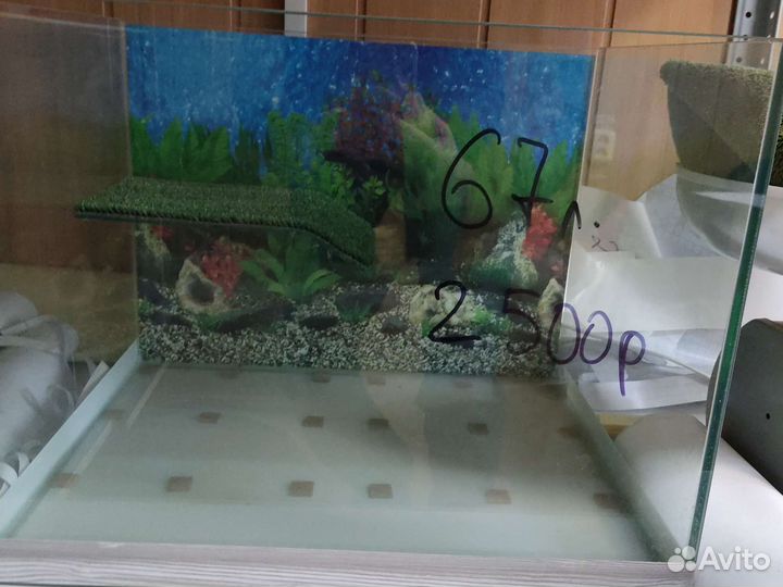 Аквариум