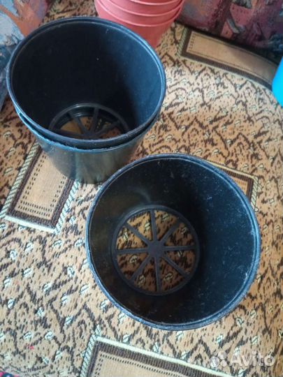 Тара для рассады и комнатных растений