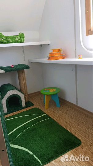 Зоогостиница(передержка кошек и собак до 10 кг)