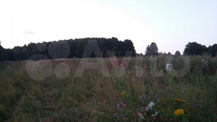 Участок 1,6 га (СНТ, ДНП)