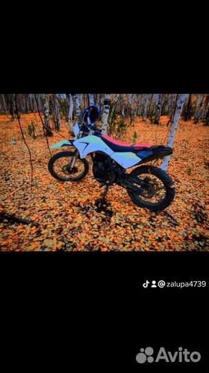 Ирбис ттр250а