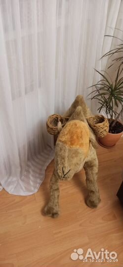 Верблюд для дома, кафе кальянов