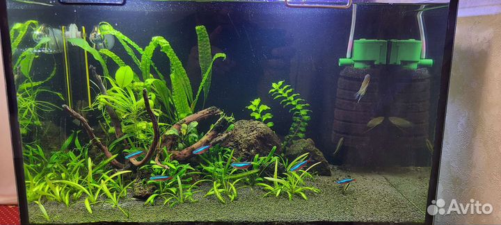 Аквариум 45 литров