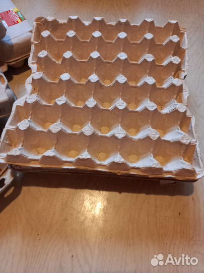 Лотки для яиц