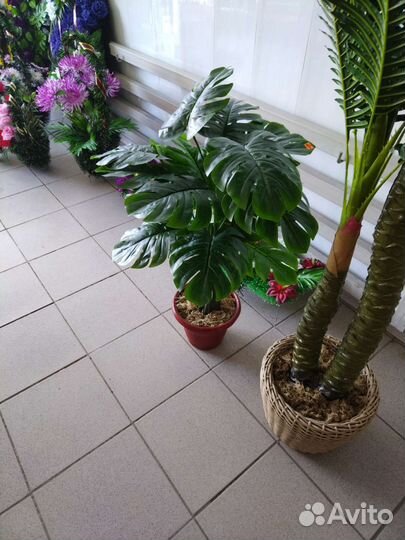 Искусственная пальма