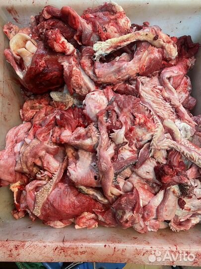 Зачистка с голов