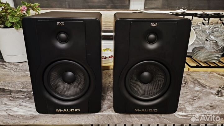M-audio BX5 D2
