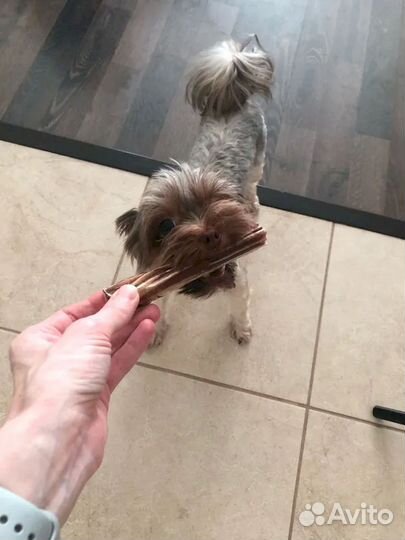 Корм для собаки. Без химии