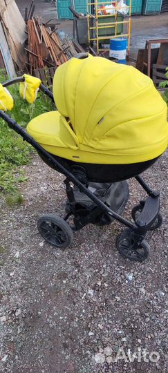 Коляска adamex monte carbon 2 в 1