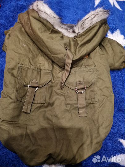 Одежда для собак