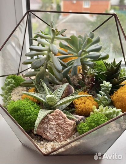 Флорариум «Полусфера с гранями »
